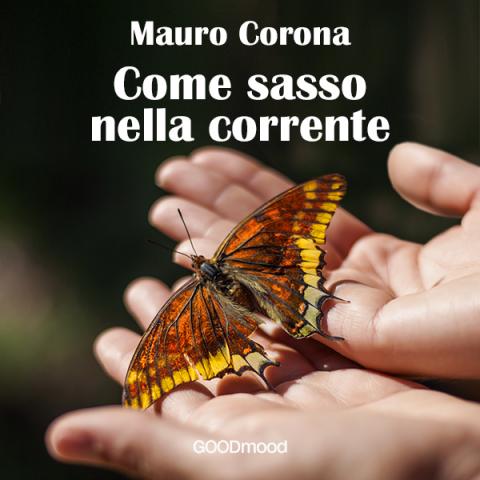 Come sasso nella corrente